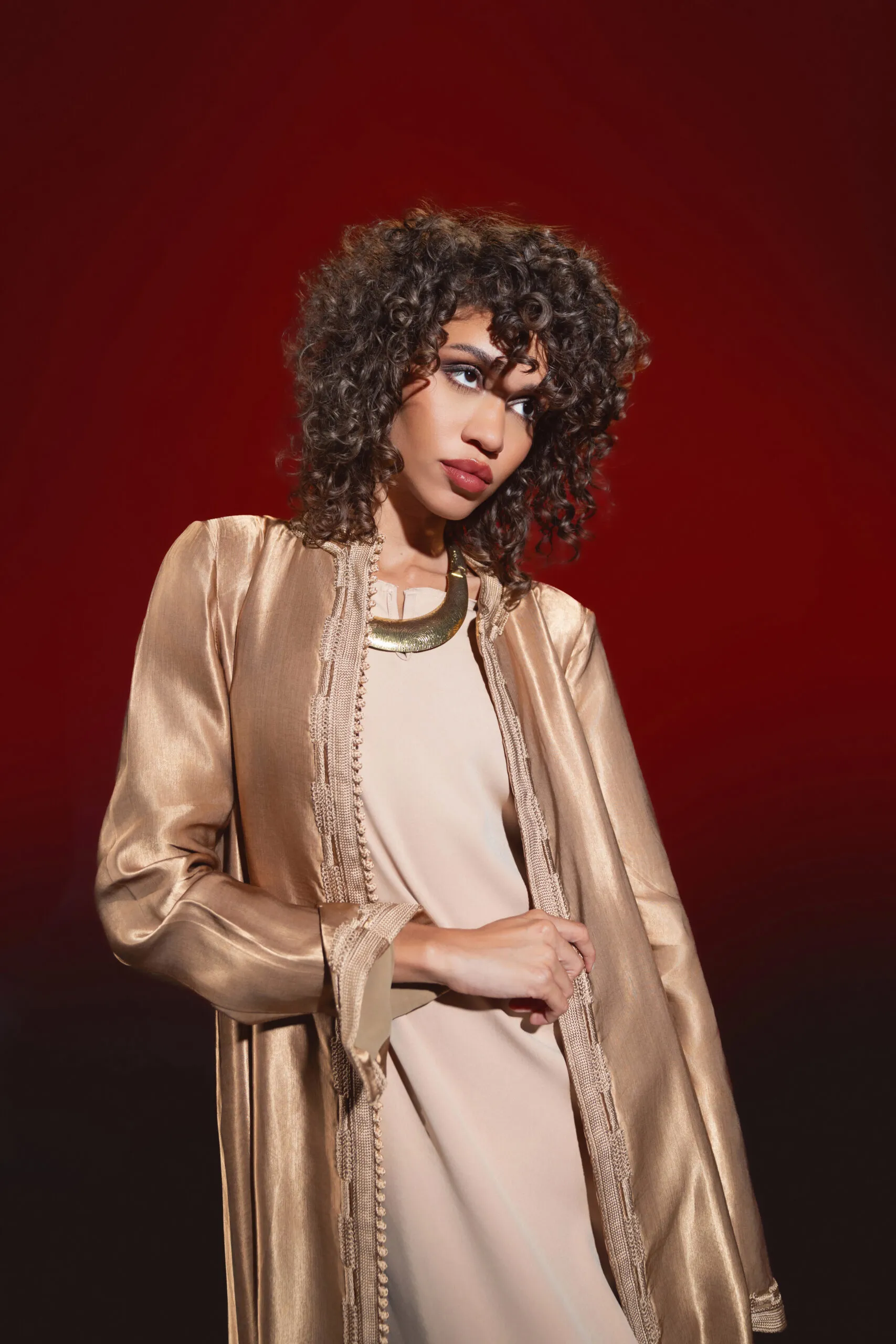 Sasstri - LookBook